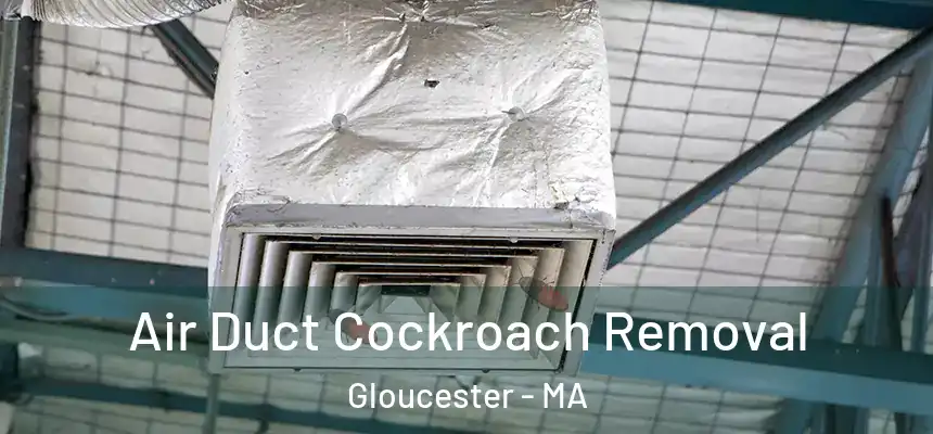 Air Duct Cockroach Removal Gloucester - MA