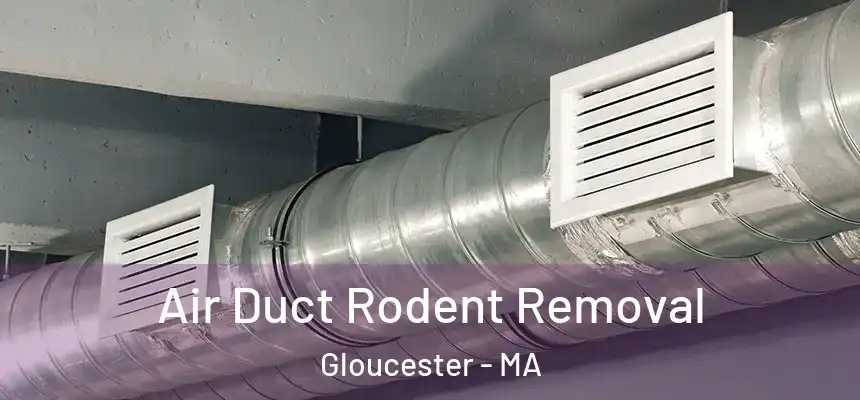 Air Duct Rodent Removal Gloucester - MA