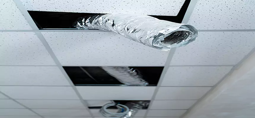 Our Air Duct Pet Hair Removal Services in Gloucester, MA