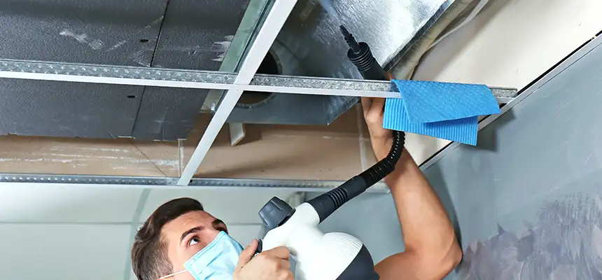 Our Air Duct Rodent Removal Services in Gloucester, MA