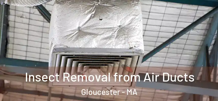  Insect Removal from Air Ducts Gloucester - MA