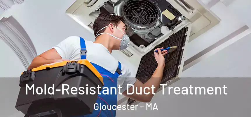 Mold-Resistant Duct Treatment Gloucester - MA
