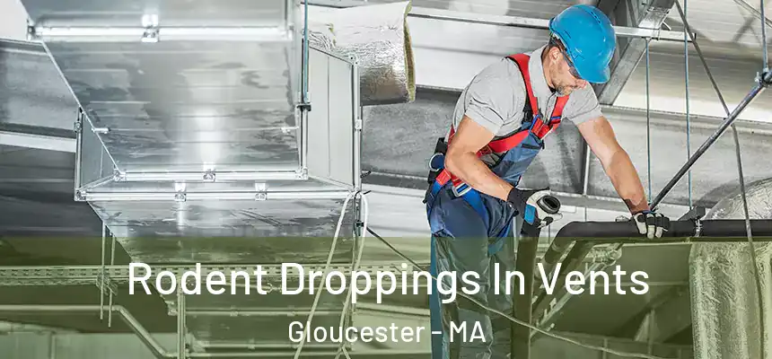  Rodent Droppings In Vents Gloucester - MA