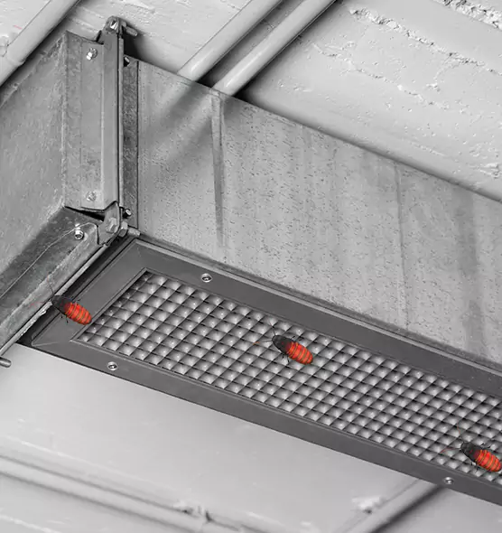 Affordable Insect Removal from Air Ducts in Gloucester, MA