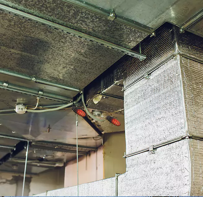 Why Homeowners & Businesses Trust Us in Gloucester, MA?