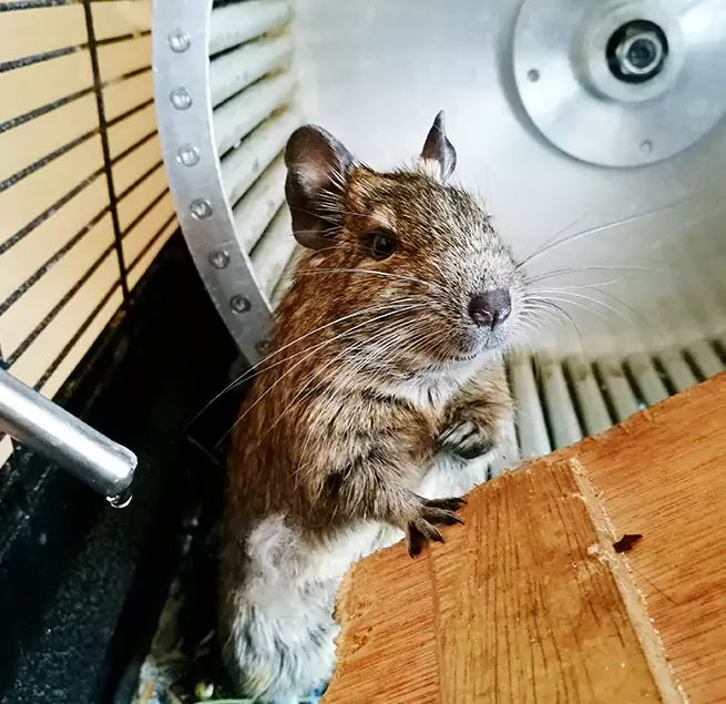 Why Homeowners & Businesses Trust Us Gloucester, MA