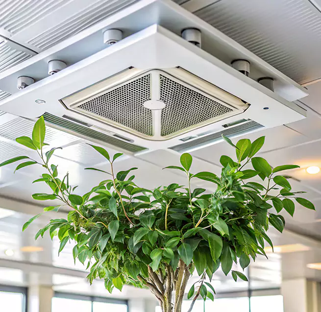 Why Homeowners & Businesses Trust Us in Gloucester, MA