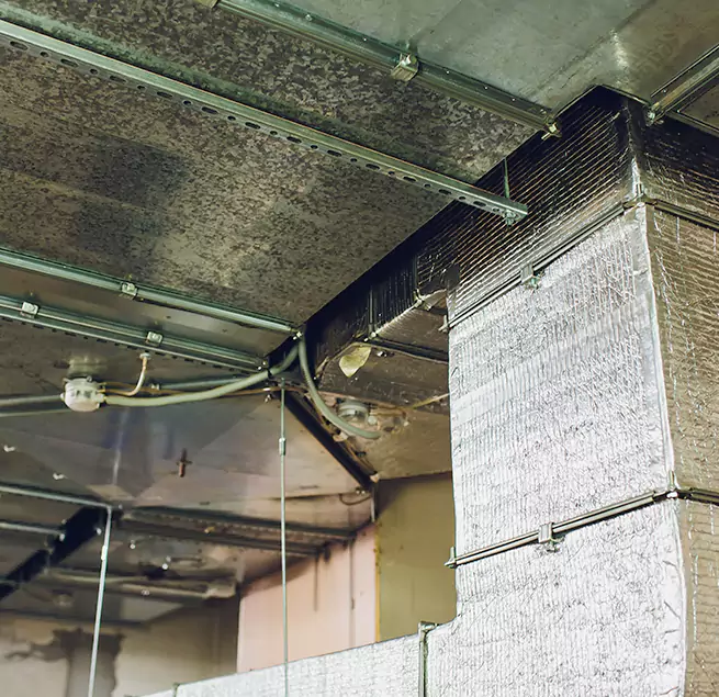 Why Homeowners & Businesses Trust Us in Gloucester, MA?